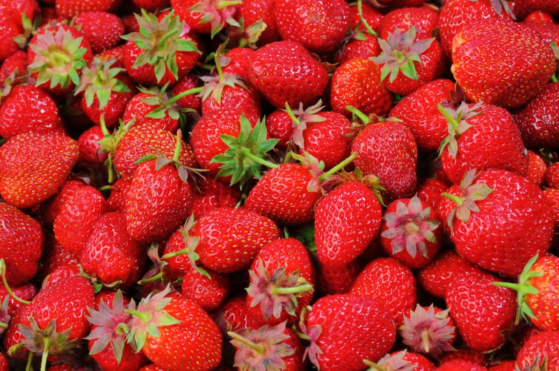 primeur-ENTRAUNES-min_strawberries-528791